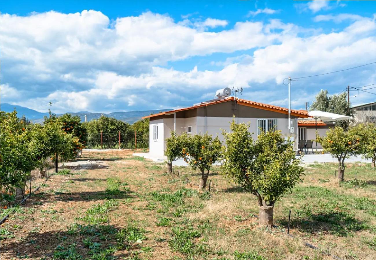 Angela Apartment Dalamanara Екстериор снимка